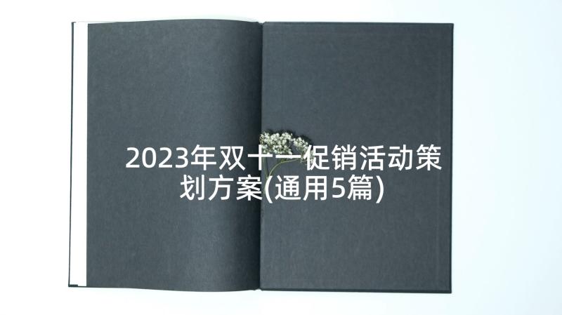 2023年双十一促销活动策划方案(通用5篇)