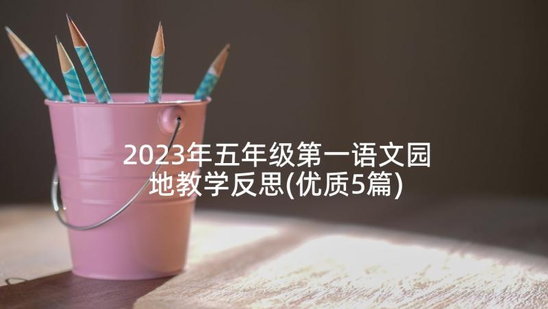 2023年五年级第一语文园地教学反思(优质5篇)