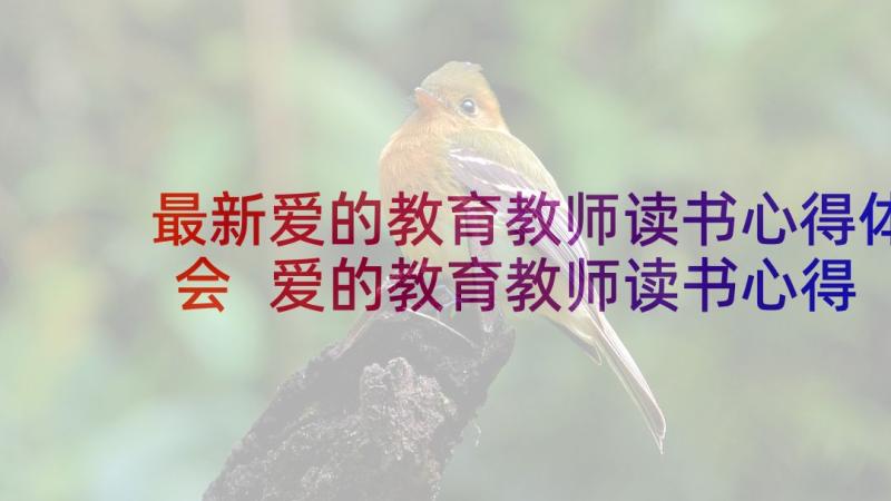 最新爱的教育教师读书心得体会 爱的教育教师读书心得(大全8篇)