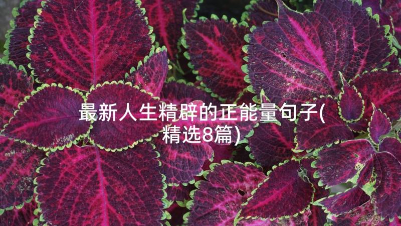 最新人生精辟的正能量句子(精选8篇)