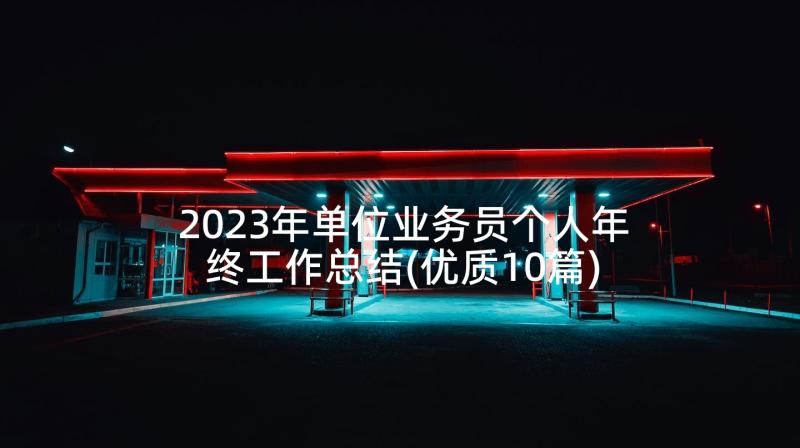 2023年单位业务员个人年终工作总结(优质10篇)