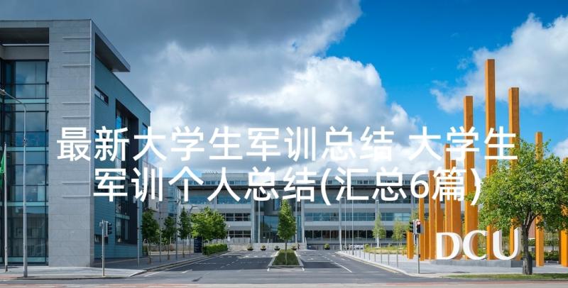 最新大学生军训总结 大学生军训个人总结(汇总6篇)