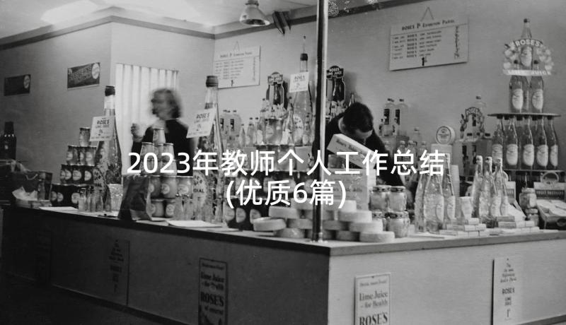 2023年教师个人工作总结(优质6篇)