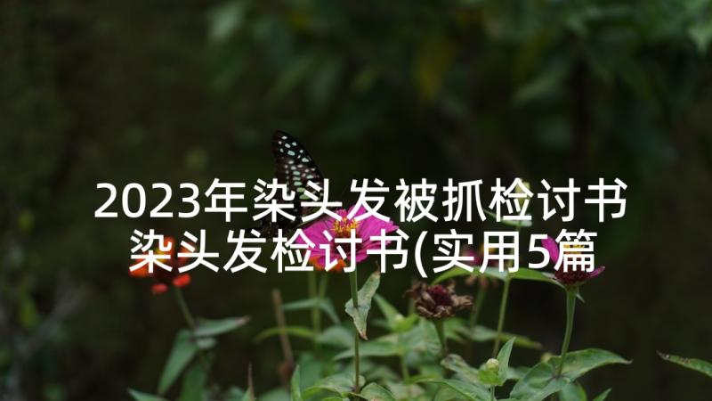 2023年染头发被抓检讨书 染头发检讨书(实用5篇)