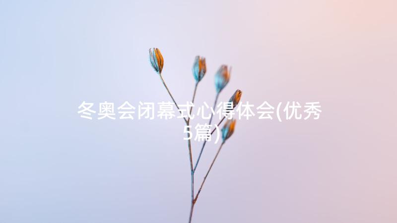 冬奥会闭幕式心得体会(优秀5篇)