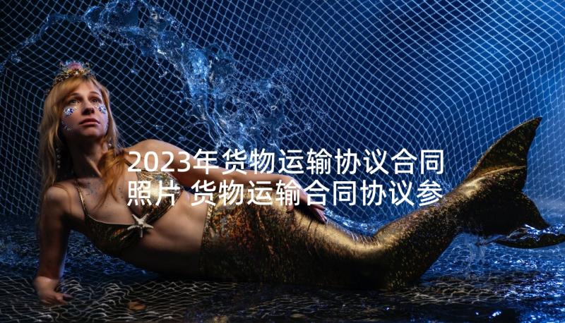 2023年货物运输协议合同照片 货物运输合同协议参考(优质8篇)