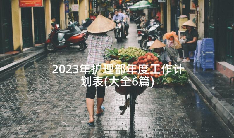 2023年护理部年度工作计划表(大全6篇)