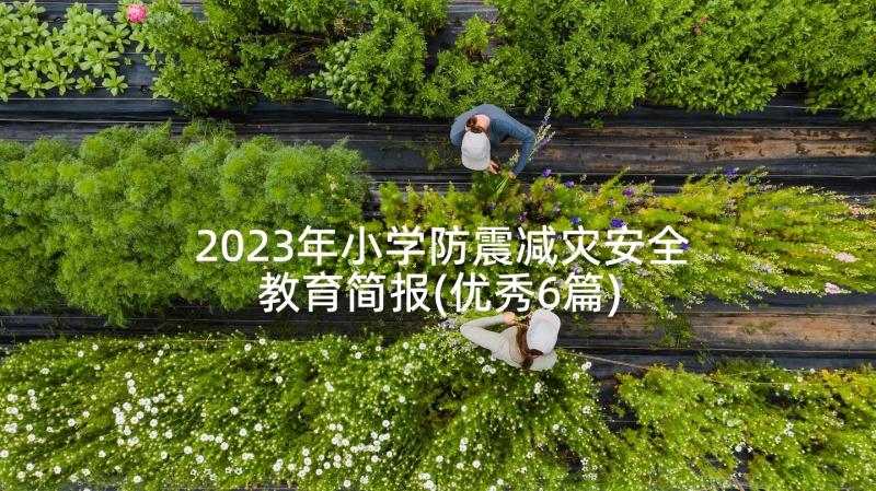 2023年小学防震减灾安全教育简报(优秀6篇)