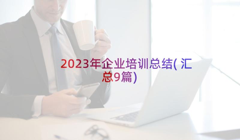 2023年企业培训总结(汇总9篇)