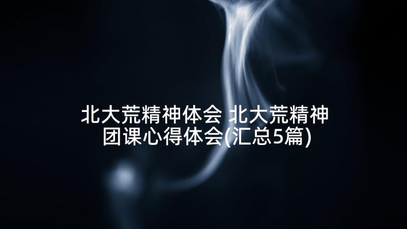 北大荒精神体会 北大荒精神团课心得体会(汇总5篇)