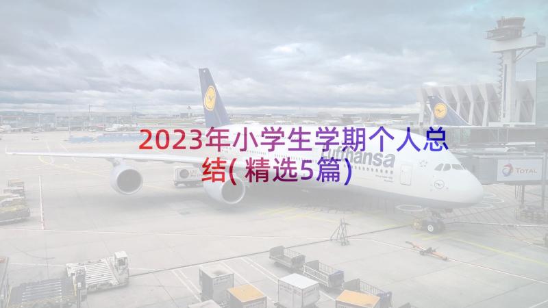 2023年小学生学期个人总结(精选5篇)