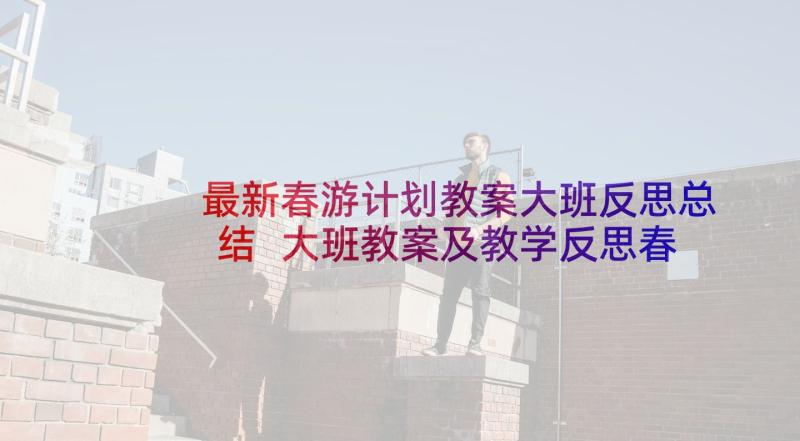 最新春游计划教案大班反思总结 大班教案及教学反思春游购物(汇总5篇)