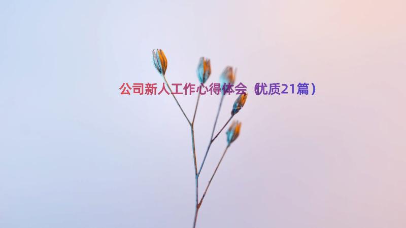 公司新人工作心得体会（优质21篇）