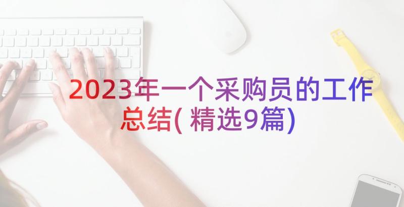 2023年一个采购员的工作总结(精选9篇)