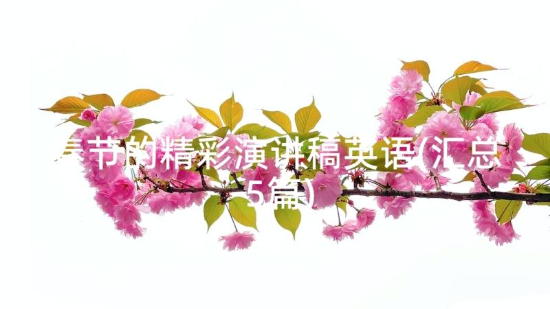 春节的精彩演讲稿英语(汇总5篇)
