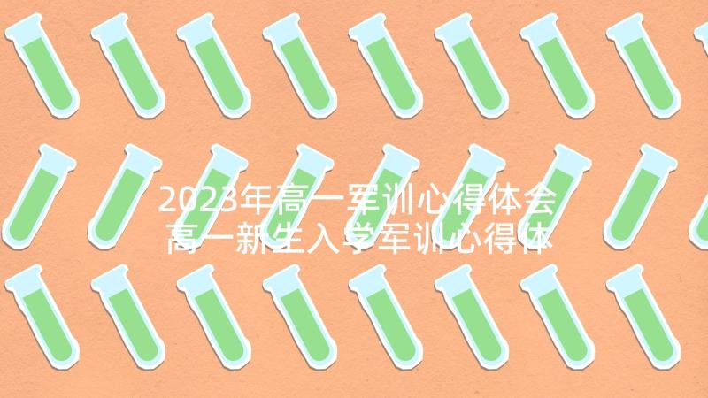 2023年高一军训心得体会 高一新生入学军训心得体会总结篇(精选5篇)