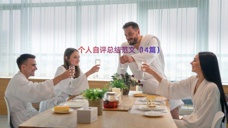 个人自评总结范文（14篇）