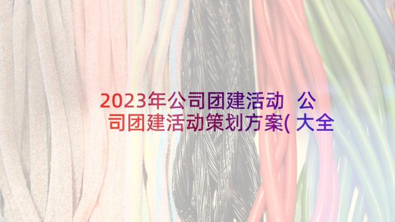 2023年公司团建活动 公司团建活动策划方案(大全10篇)