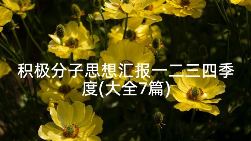 积极分子思想汇报一二三四季度(大全7篇)