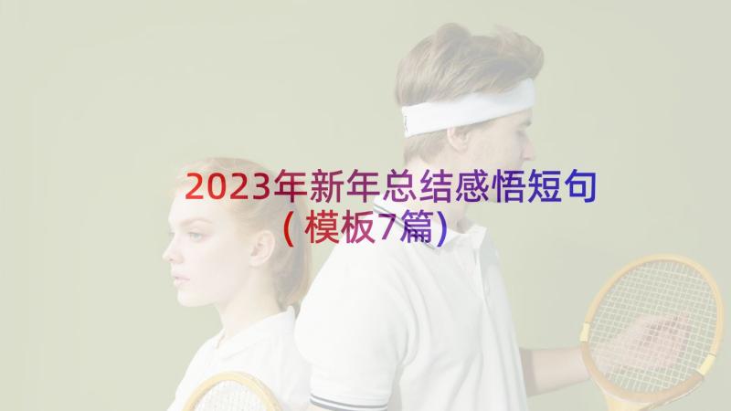 2023年新年总结感悟短句(模板7篇)