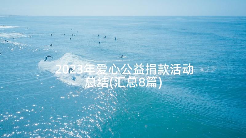 2023年爱心公益捐款活动总结(汇总8篇)