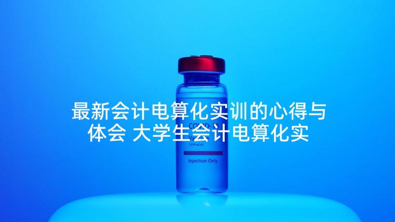 最新会计电算化实训的心得与体会 大学生会计电算化实习报告(大全6篇)