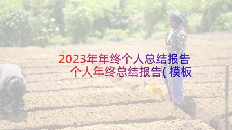 2023年年终个人总结报告 个人年终总结报告(模板8篇)