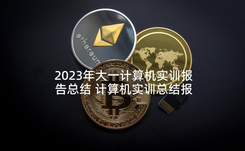 2023年大一计算机实训报告总结 计算机实训总结报告(模板5篇)