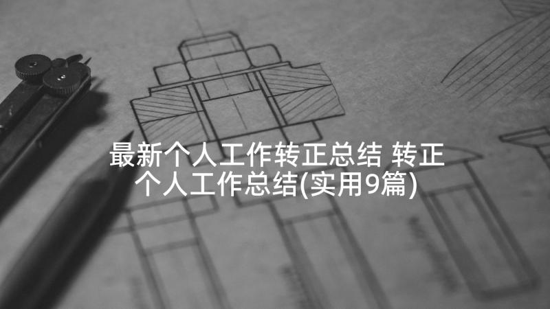 最新个人工作转正总结 转正个人工作总结(实用9篇)