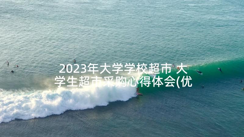 2023年大学学校超市 大学生超市采购心得体会(优质10篇)