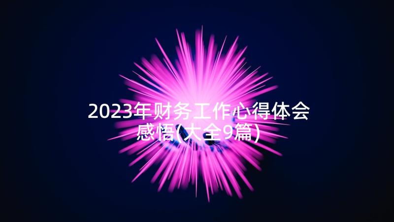 2023年财务工作心得体会感悟(大全9篇)