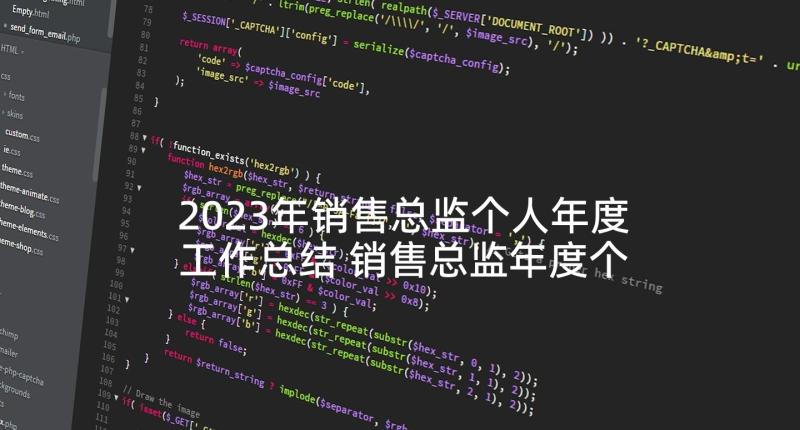 2023年销售总监个人年度工作总结 销售总监年度个人工作总结(精选7篇)