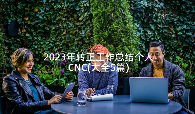 2023年转正工作总结个人CNC(大全5篇)