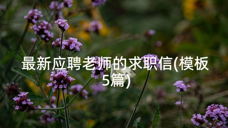 最新应聘老师的求职信(模板5篇)