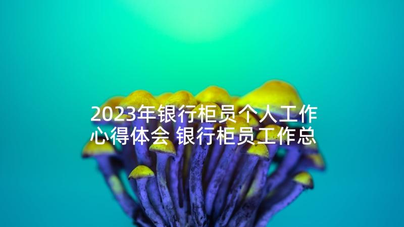 2023年银行柜员个人工作心得体会 银行柜员工作总结个人(实用8篇)