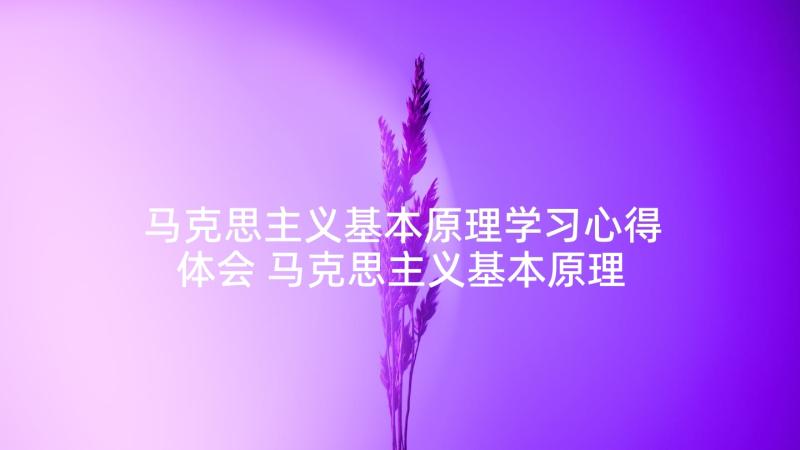 马克思主义基本原理学习心得体会 马克思主义基本原理概论学习心得(精选8篇)