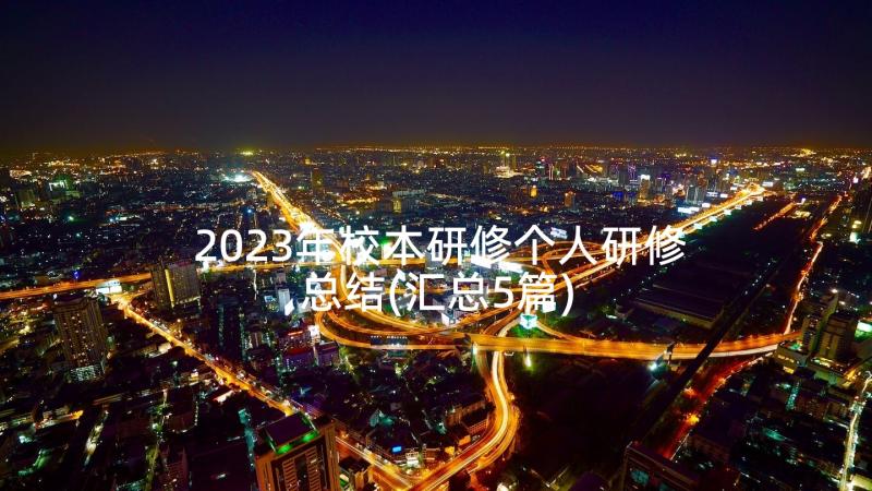 2023年校本研修个人研修总结(汇总5篇)