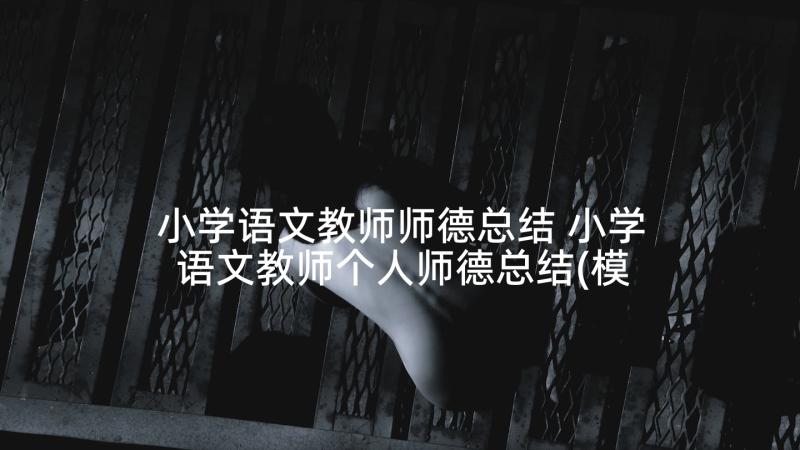 小学语文教师师德总结 小学语文教师个人师德总结(模板5篇)