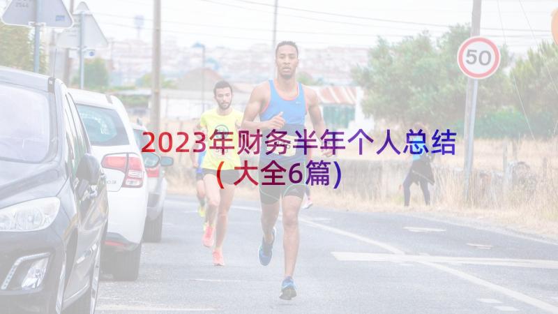 2023年财务半年个人总结(大全6篇)