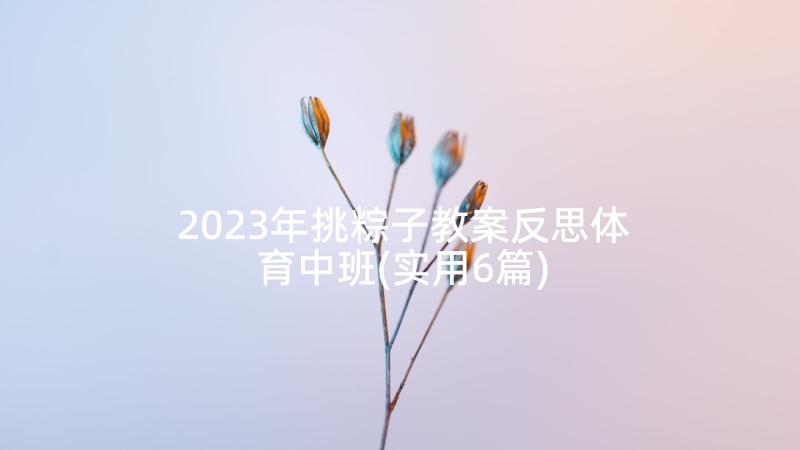 2023年挑粽子教案反思体育中班(实用6篇)