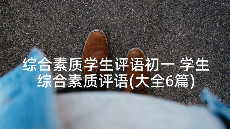 综合素质学生评语初一 学生综合素质评语(大全6篇)