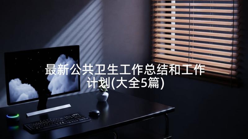 最新公共卫生工作总结和工作计划(大全5篇)