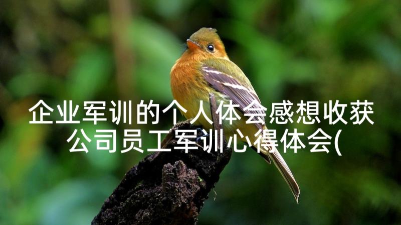 企业军训的个人体会感想收获 公司员工军训心得体会(精选7篇)