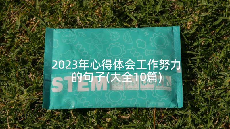 2023年心得体会工作努力的句子(大全10篇)