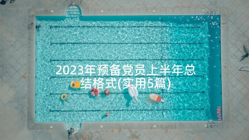 2023年预备党员上半年总结格式(实用5篇)