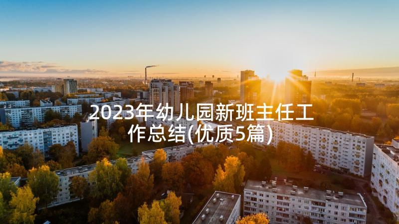 2023年幼儿园新班主任工作总结(优质5篇)