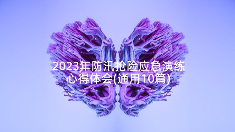 2023年防汛抢险应急演练心得体会(通用10篇)