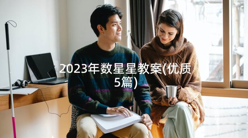 2023年数星星教案(优质5篇)