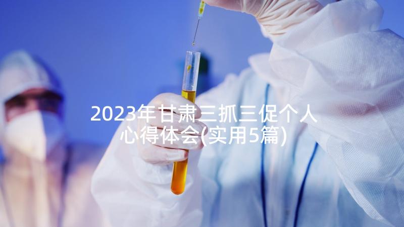 2023年甘肃三抓三促个人心得体会(实用5篇)