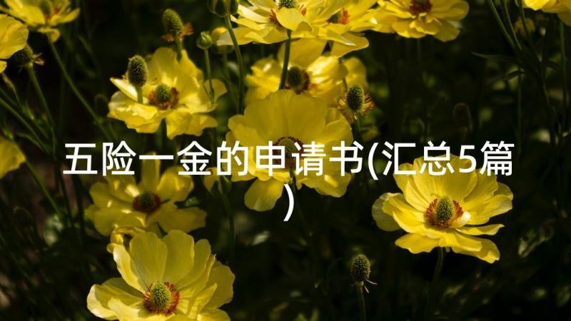 五险一金的申请书(汇总5篇)